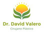 Dr. David Valero