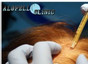 Alopell Clinic
