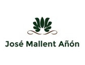 Dr. José Mallent Añón
