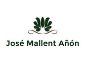 Dr. José Mallent Añón