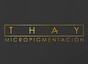 Thay
