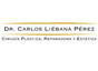 Dr. Carlos Liébana Pérez