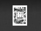 Exotic Touch