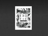 Exotic Touch