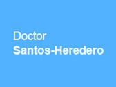 Dr. Francisco Javier Santos Heredero