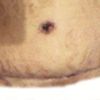 146764