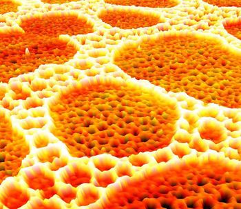 La nueva piel sintética que detecta el calor y la humedad