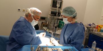 "La última decisión sobre tamaño, forma y técnica corresponde al cirujano"