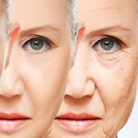 El envejecimiento facial