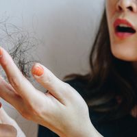 Caída estacional del cabello y alopecia: comprendiendo tu melena para cuidarla mejor Caída estacional del cabello y alopecia: comprendiendo tu melena para cuidarla mejor