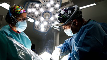 Doctor Xavier Tintoré