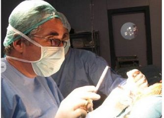 Dr. Pallarés