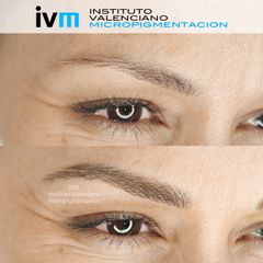 Cejas pelo a pelo - Instituto Valenciano Micropigmentación