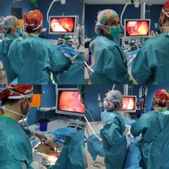 Obesis - Dr. David Molina García