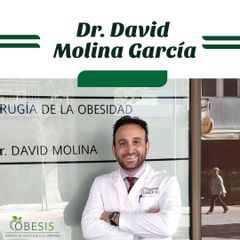 Obesis - Dr. David Molina García