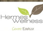 Hermes Wellness