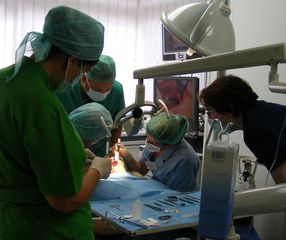 Clínica Dental Esteve