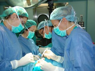 Dra.Teresa García. Hospital La Luz. Grupo Quirón