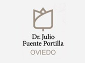 Dr. Julio Fuente Portilla