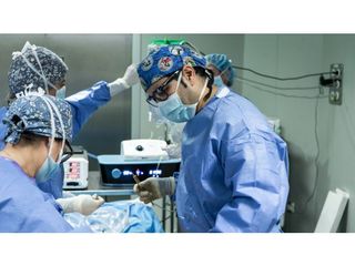 Dr. Quintero