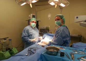 Dr. Jaume Lerma Goncé 