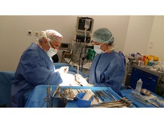 Dr. Jaume Lerma Goncé 