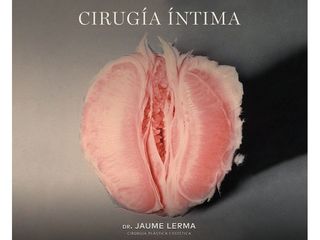 Dr. Jaume Lerma Goncé