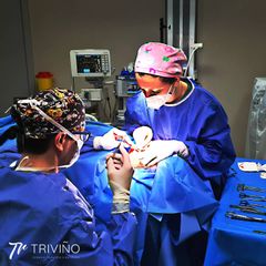 Dr. José María Triviño Fernández
