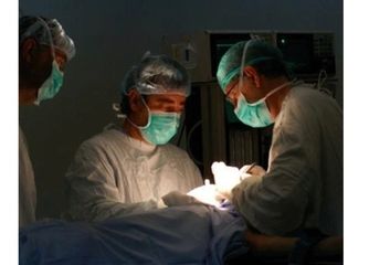Dr. Sergio Alonso Martínez
