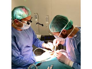 Clinica Hepler Bone