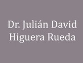 Dr. Julián David Higuera Rueda