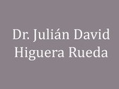 Dr. Julián David Higuera Rueda