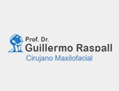 Prof. Dr. Guillermo Raspall