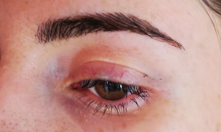 Corregir cejas destrozadas por microblading - 49186