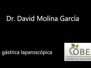 Manga gástrica laparoscópica - Dr. David Molina García - Clínica Obesis