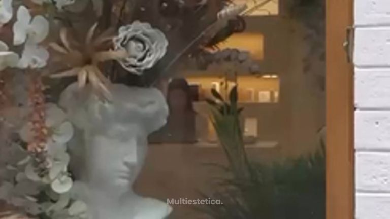 Armonización facial
