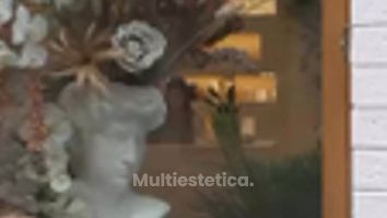 Armonización facial