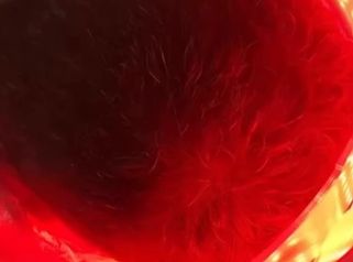 🌿✨ Terapia Biotobiodinámica Capilar ✨🌿Un tratamiento natural y no invasivo que estimula