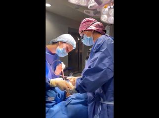 Rinoplastia, Mentoplastia y Bichectomía - Aura Clínica